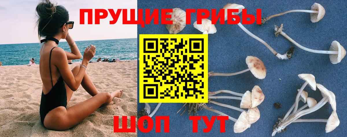 Галлюциногенные грибы ЛСД  Вход с VPN  где продают   Людиново 